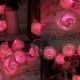 Pink Rose Flower Fairy String Lights 20 LEDs  (2.2M/7.22feet) Wedding Garden Party Christmas Decoration (Pink) US Seller