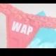 WAP Lace Thong Underwear / bachelorette party / Funny Gift / Cardi B / Megan Thee Stallion