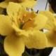 Felt daffodil bouquet, St Davids day, daffodil, handmade flowers, felt flowers, felt, bouquet, handmade bouquet, wedding flowers