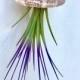 Jellyfish Air Plant Hanger single with purple tricolor and Alphonso Sea urchin; beach wedding shell hanging airplant succulent wholesale