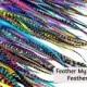 25 Pc Loose Feathers For Fly Tying , Hair , Crafts -5" to 7" Long  -  Discounted - Variety Of Colors