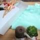 Hand Embroider T Shirt plus 2 Gift Potted Cactus, Holiday Gift, T Shirt Super Deal