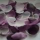 Purple Ivory Rose Petals/Purple Shades Decor/Lavender Wedding/Lilac Toss Petal/Table Decor/Bridal Shower/Baby Shower/Plum Wedding toss