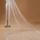White One Layer 3 Metre Cathedral Bridal Veil With Pretty Lace Trim Edging
