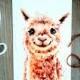 Alpaca Postcard,Kawaii,Watercolor Dromedary, Lama Greeting Card, Camel Alpaca Postcard