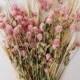 GLOBE AMARANTH Gomphrena flowers, Dried Boho Flower, Dried Flower Bouquets, Boho Wedding Flower Bouquets, Dried Wedding Flowers, Dry flower