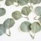 25 Pieces Eucalyptus Leaf, Artificial Eucalyptus, Faux Eucalyptus, X'mas Wreath Greenery, Wedding Cake Decor, Flower Crown Filler