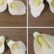 Gumpaste Calla Lilies - 1" to 5-1/2" Available!! Fondant Edible Wedding Cake Toppers :)