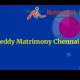 Reddy Matrimony Chennai