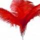 10 Pcs 8-10" 10-12" 12-14" 14-16" Red Ostrich Feather Plume 14-16"
