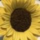 3" Sunflower - Gumpaste Autumn Fall Wedding Cake Topper Sugar Flower