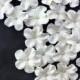 White Gum Paste Flowers Edible Cake Decorations 25 piece SILVER Fondant