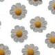 24 Royal Icing Daisies - White with Yellow Centers Edible Daisy Cupcake Topper