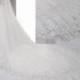 Ivory Bridal Veil Cathedral  length, simple bridal veil, long 4meter  veil sequined
