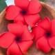 Red Plumeria Hair Clip, 3 inch foam,  Hair Flower, Valentines Day  Accessories