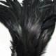 100 pcs black Coque rooster tail feathers loose for feather costume decor