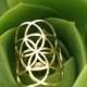 Flower of Life Ring • Seed of Life Ring • Sacred Geometry Ring Brass Ring  Galactivated
