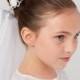 First Holy Communion Wedding flower Bun edged white tulle Veil attached Bride