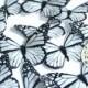 Edible butterflies, 12 black and white edible wafer paper monarch butterflies for cake decorating, cupcake decorating. butterflies for cakes