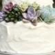Cake decorating kit - succulents for cake