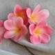 Coral Pink Plumerias,  Real Touch frangipani, Artificial Flower Heads DIY Cake decoration and wedding bouquets