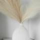 Pampas Grass  Faux Small Faux ACCENT PIECES, Artificial By Luxe B Pampas Grass