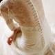 Long Sleeved Lace Back Button Wedding Dress ♥ Mademoiselle Claire Pettibone Wedding Dresses 
