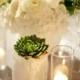 Wedding Decor - Succulents