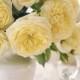 Mellow Yellow Wedding Color Palettes 