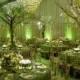 Келли Зеленый палитры цветов Свадебный
