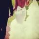 Wedding Dress - Kleid Inspiration