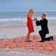 The Proposal ♥