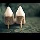 أحذية الزفاف - الكعوب الذهب