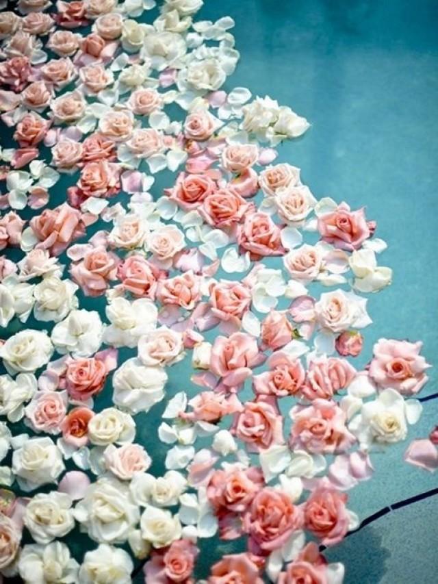 wedding photo - Floating Roses. 