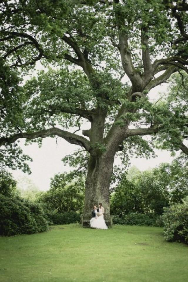 Alt Wie Ein Baum Weddbook