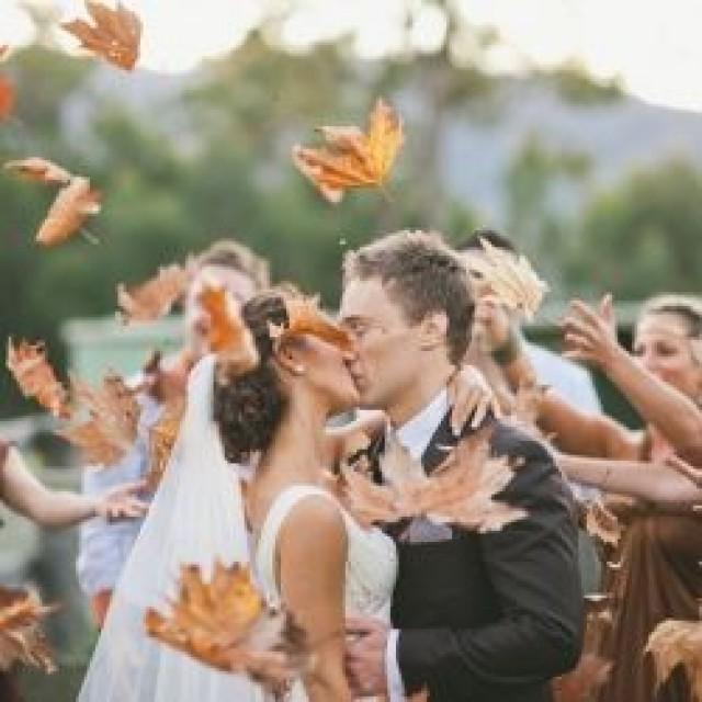 wedding photo - Werfen Blätter (statt Konfetti)