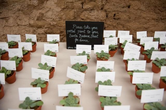 succulent-favors-escort-cards-wedding-fa