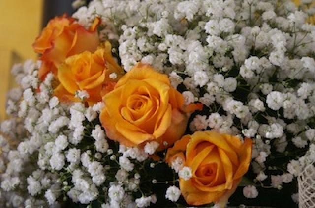 wedding photo - orange roses