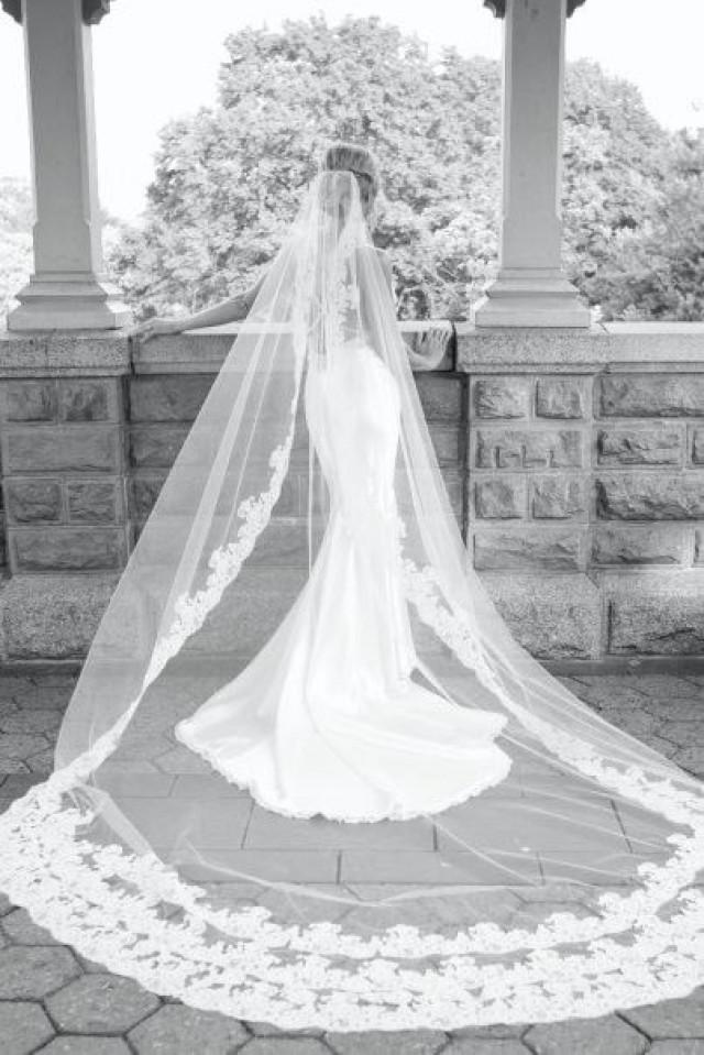 wedding photo - Veils...