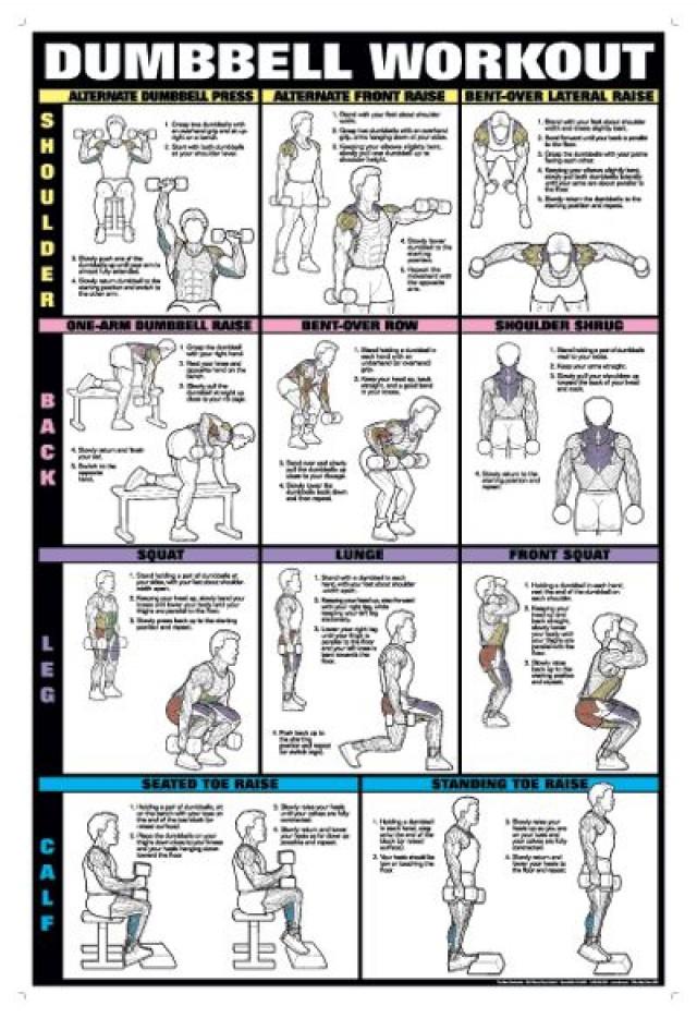 Workout With Dumbell Template