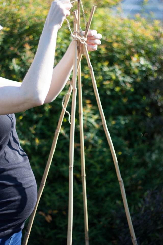 Grow your own wedding flowers