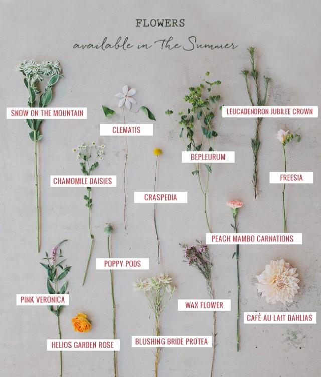 Seasonal Flower Guide Summer Weddbook