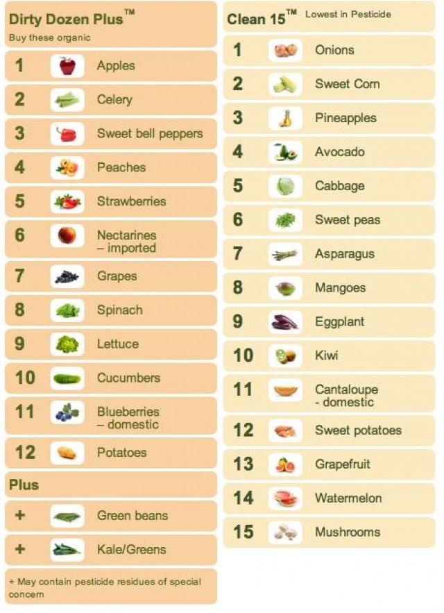 Mechanical Diet Food List