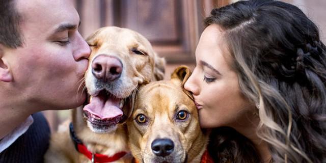wedding photo - Why Engagement Shoots Have Gone To The Dogs