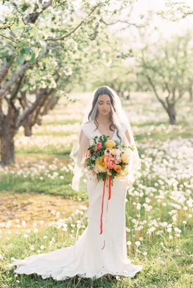 Apple Orchard Spring Wedding Inspiration Wedding Sparrow