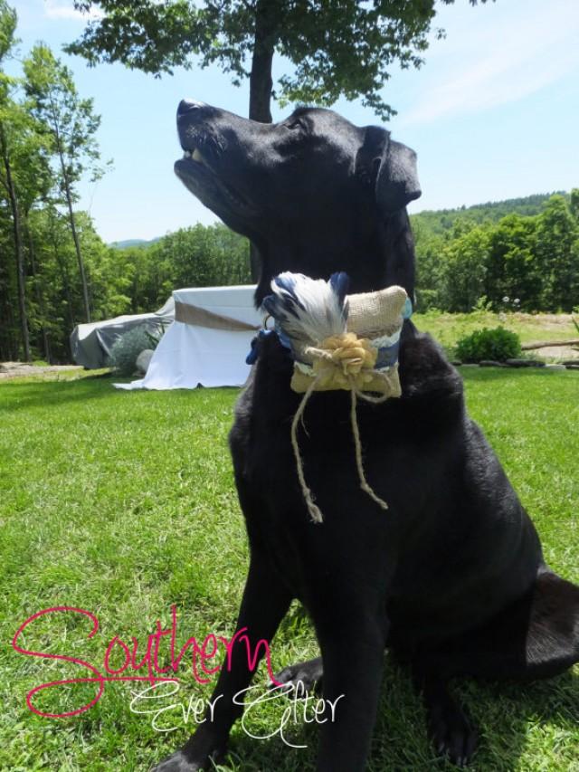 dog collar ring holder