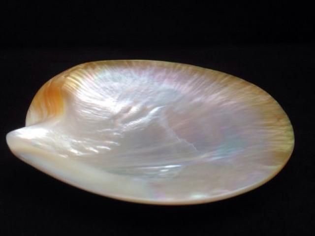 wedding photo - Hand Carved Mother of Pearl, Extra Large Rare Philippines Gold Lip Oyster Shell, great for decoration and to entertain, Caviar Serving Shell from ADARNA GALLERY