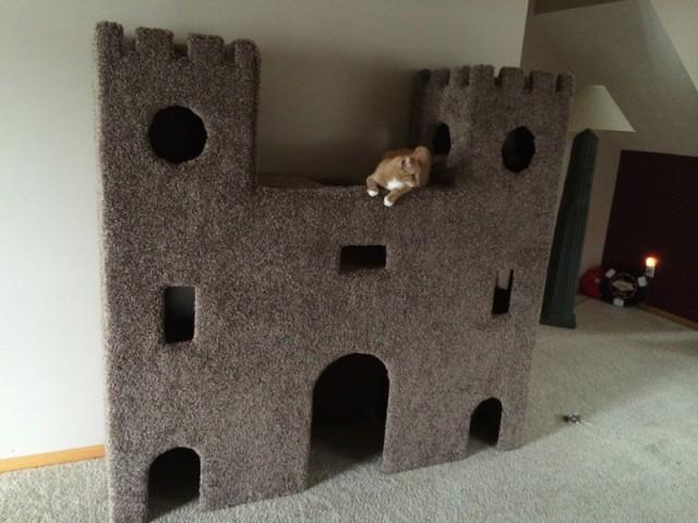 Cat Castle - Weddbook