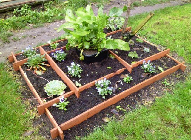 Plant food slot