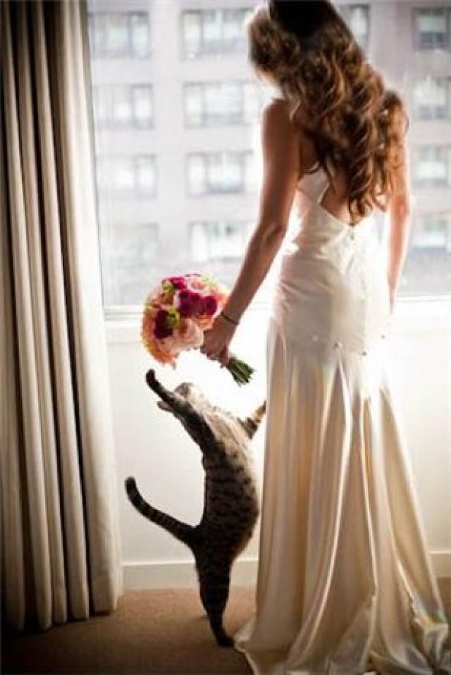 wedding photo - Someday My Prince Will Come...
